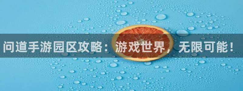 28大神官网网址是什么