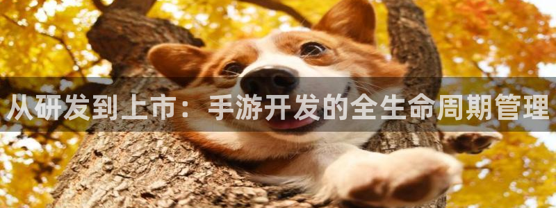 28大神预测神测网