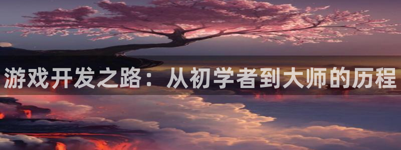 pg国际历史：游戏开发之路：从初学者到大师的历程