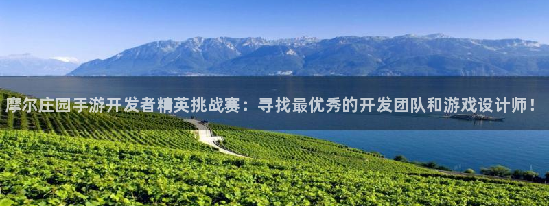 大神吧28官网预测