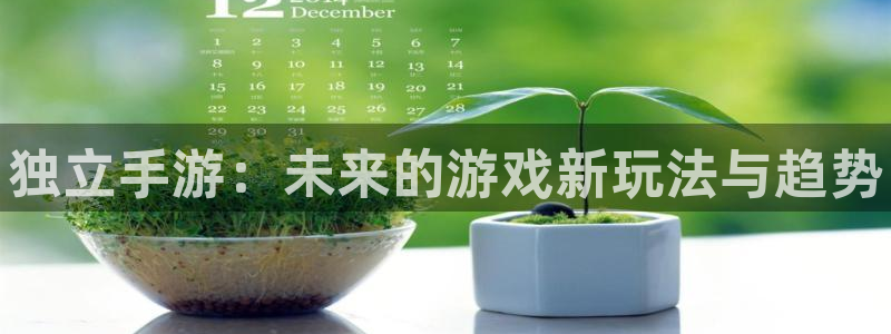 pg国际网页开不了怎么回事：独立手游：未来的游戏新玩法与趋势