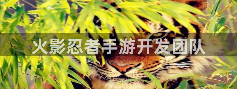 28大神预测神测网：火影忍者手游开发团队