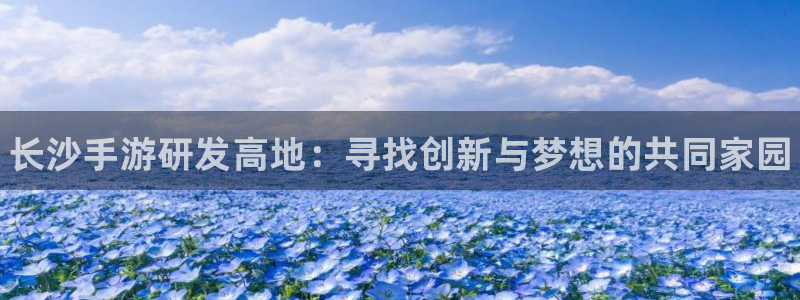 pg国际官网开奖：长沙手游研发高地：寻找创新与梦想的共同家园
